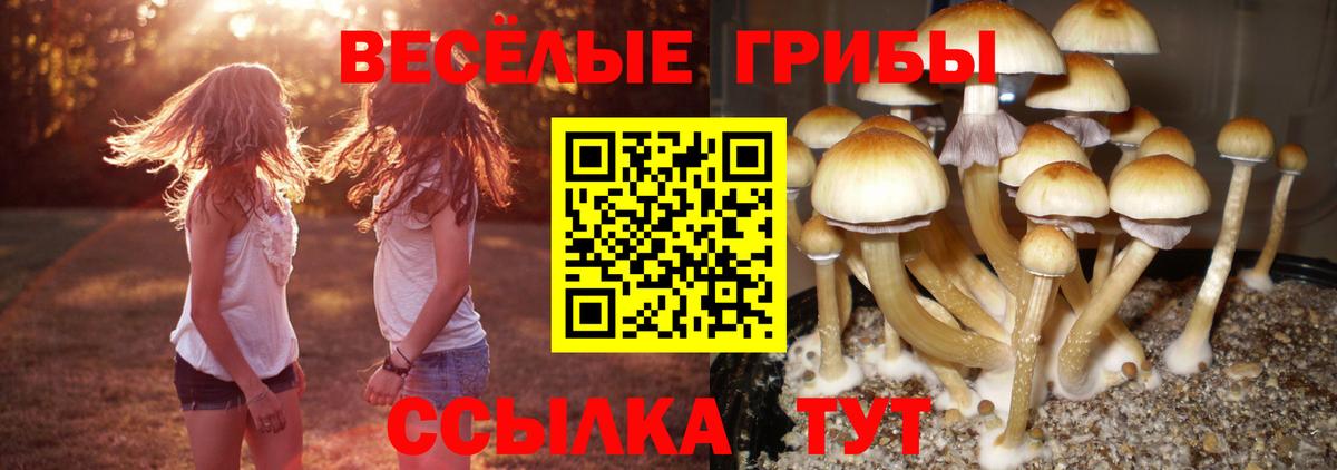 Галлюциногенные грибы ЛСД Приморско-Ахтарск